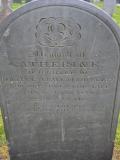 image of grave number 847885